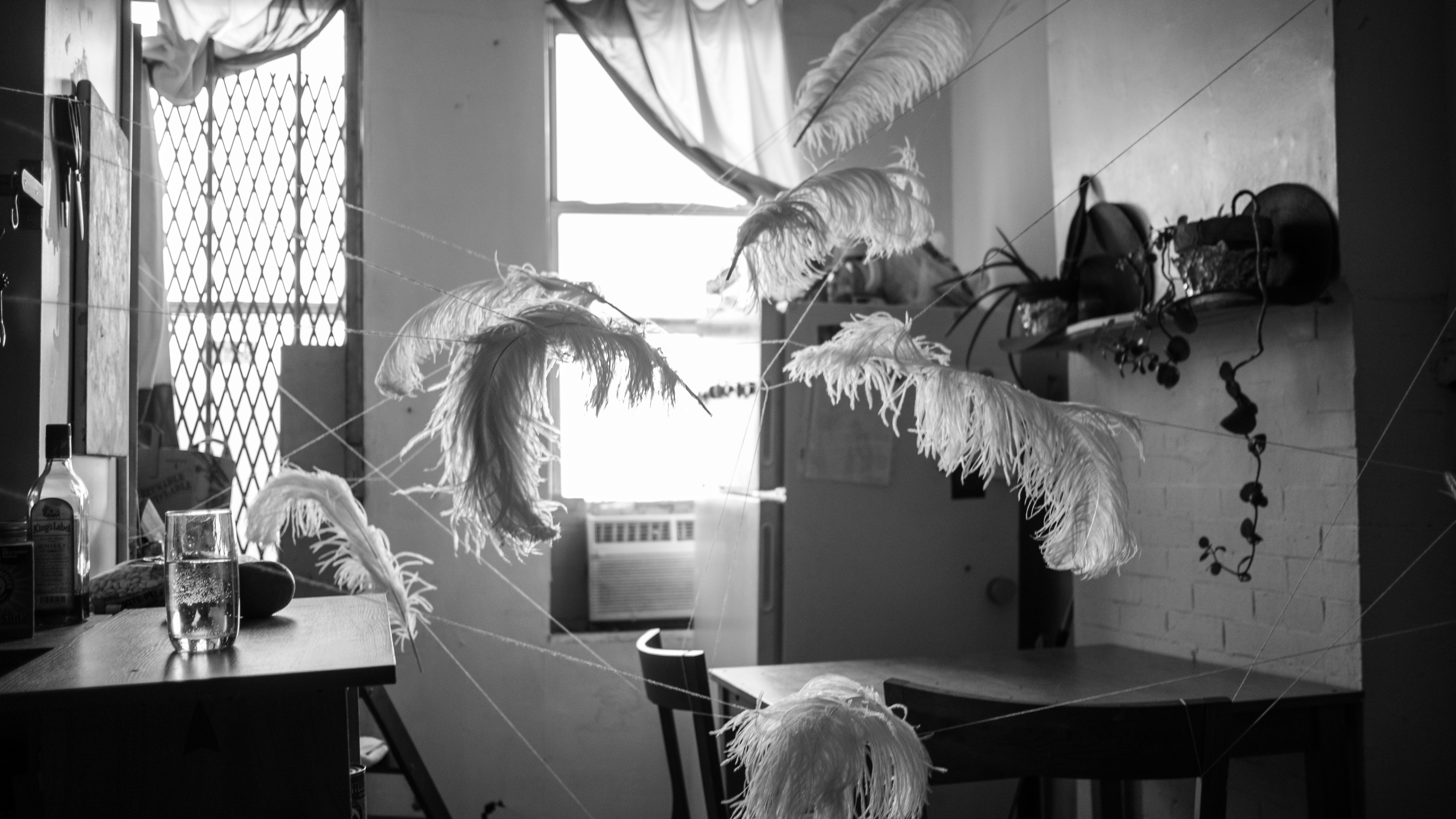 feathers installation whitney biennale (10 of 10)