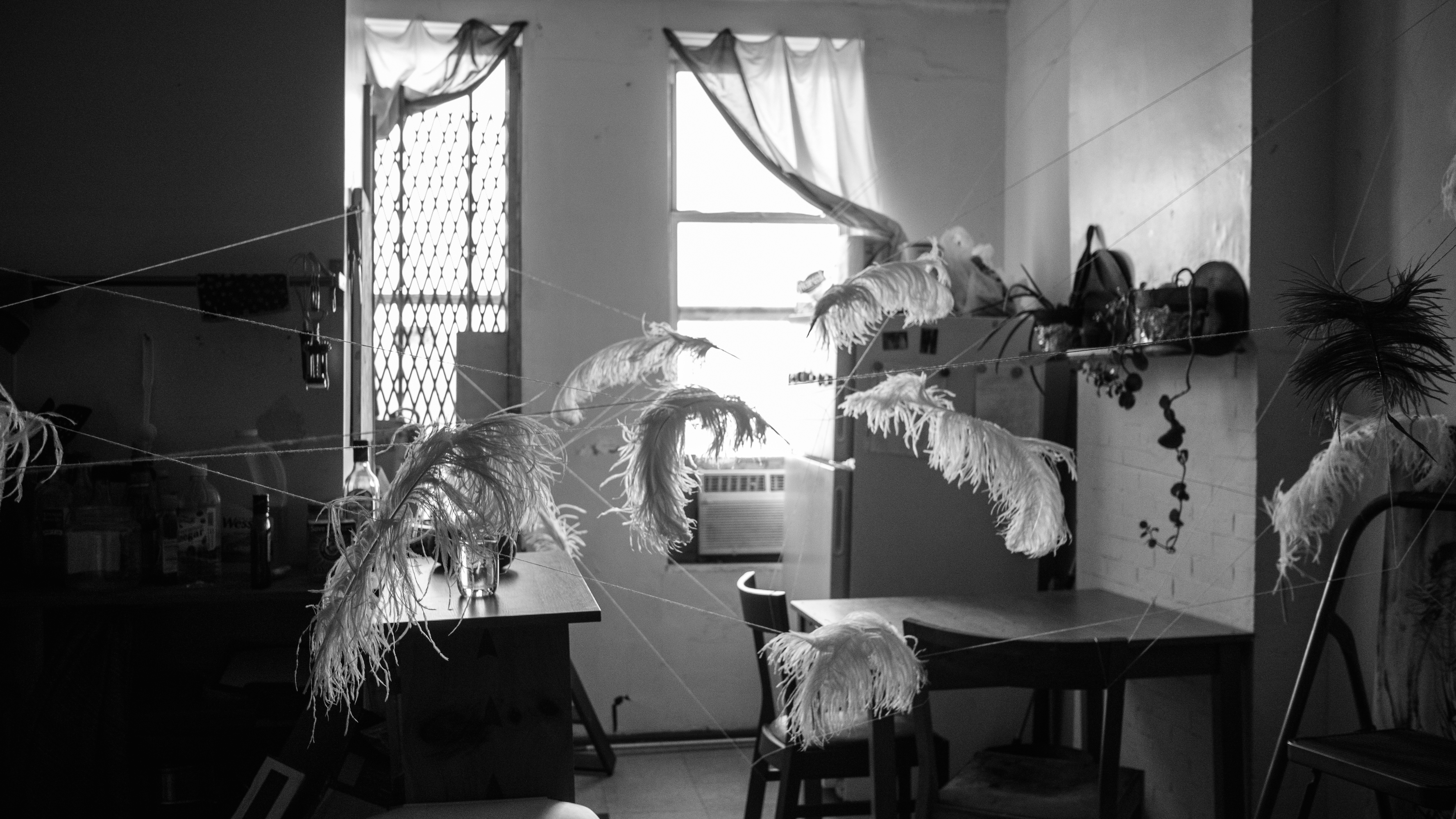 feathers installation whitney biennale (5 of 10)