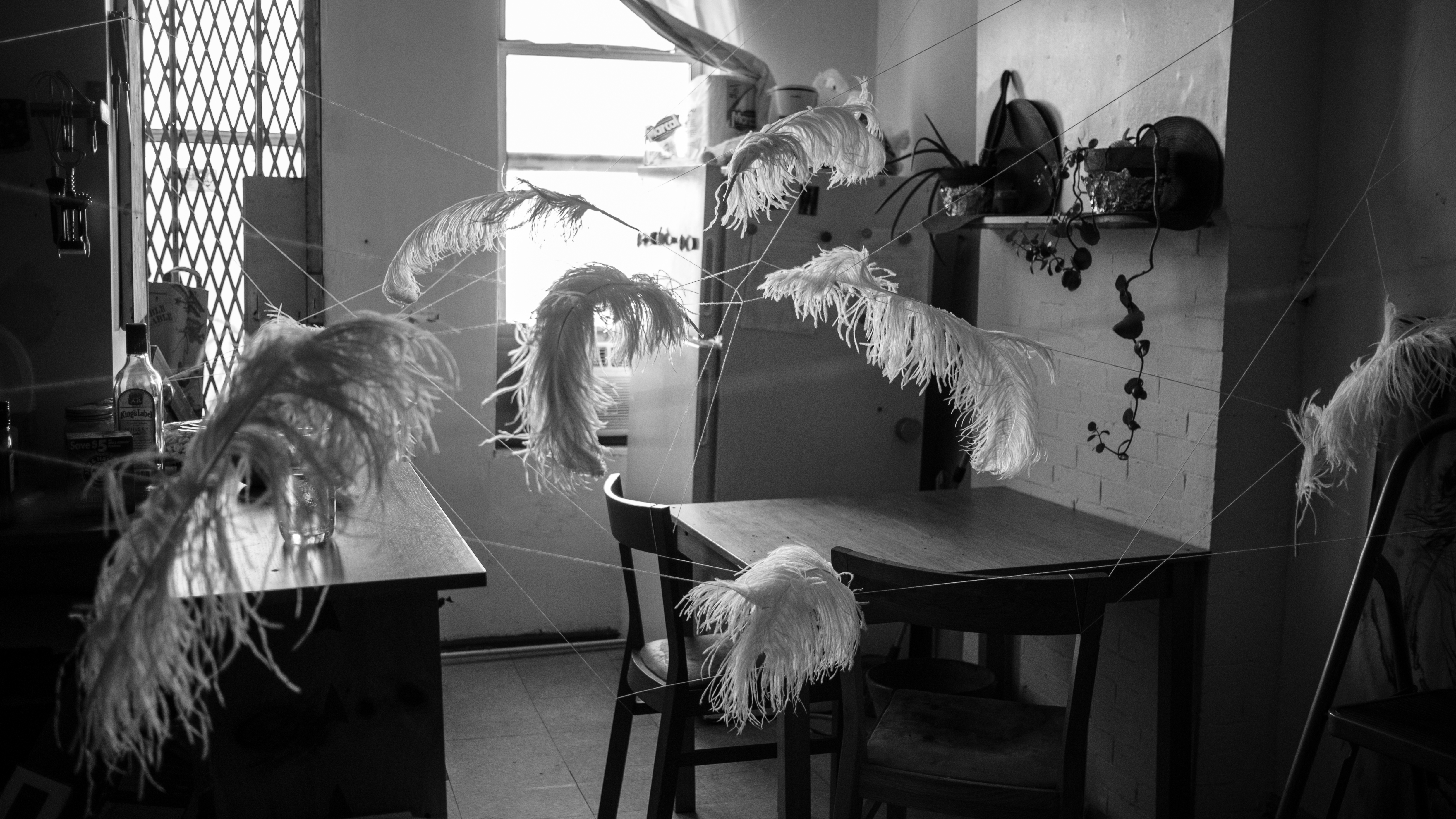 feathers installation whitney biennale (8 of 10)